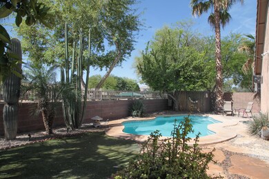 Backyard2