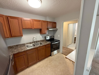 10301 Cedar Lake Rd unit 102, Hopkins, MN 55305 - photo 6