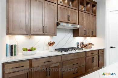 624 High Summit Dr, Georgetown, TX 78628 - photo 5