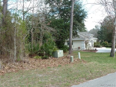 8 Gloxinias Ct, Homosassa, FL 34446 - photo 3