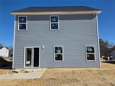 451 Black Duck Ln unit 102, Lillington, NC 27546 - photo 4