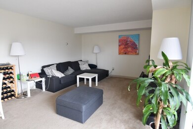 70 Centre St unit 3C, Brookline, MA 02446 - photo 3