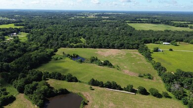 Overview of rural landscape featuring a heavily wooded area and a large body of water