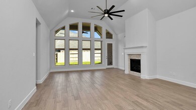 24207 Norwood Groves Dr, Richmond, TX 77469 - photo 3