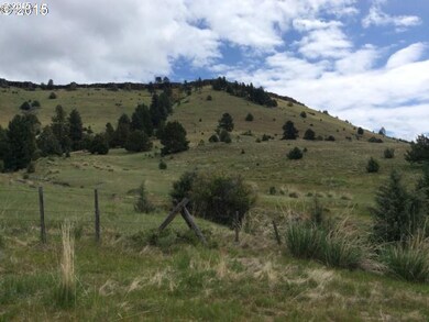 0 Keeney Forks Rd, Long Creek, OR 97856 - photo 5