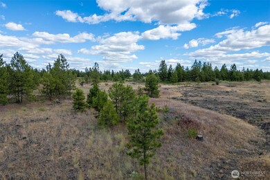 35410 Prairie Ln N unit Lot 4, Creston, WA 99117 - photo 7