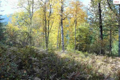 0 A St unit 20210121, Sandpoint, ID 83864 - photo 7