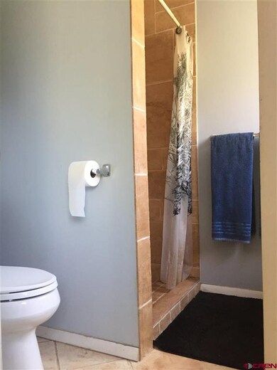 256 SW 8th Cir, Cedaredge, CO 81413 - photo 7