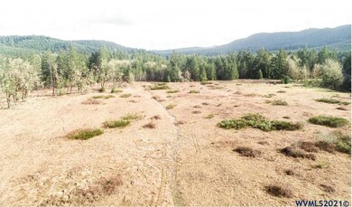 0 Gooseneck (Parcel #289476) Rd, Sheridan, OR 97378 - photo 7
