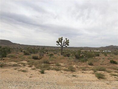 6650 La Contenta Rd, Yucca Valley, CA 92284 - photo 4