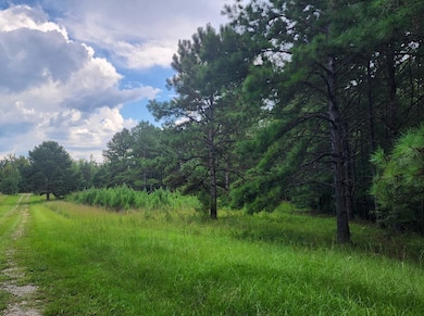 0 Eagle Port Rd, Quinton, AL 35130 - photo 5