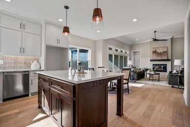 16487 W 166th St, Olathe, KS 66062 - photo 3