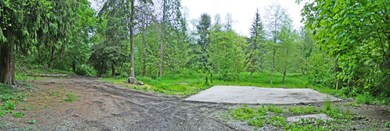 16213 S Prairie Creek Rd E, Orting, WA 98360 - photo 6