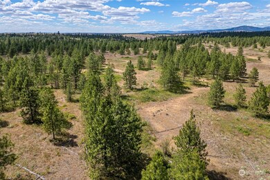 7 Lot Prairie Ln N, Creston, WA 99117 - photo 4