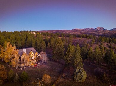 153 Tristan Trail, Durango, CO 81301 - photo 4
