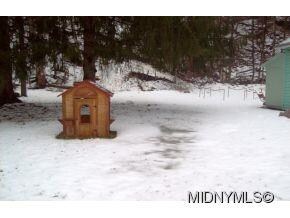 Back yard