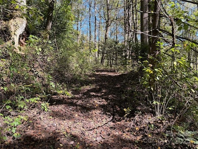 TBD Happy Ridge Ln, Sylva, NC 28779 - photo 7