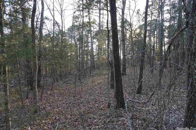 99999 Windamere Dr, Tumbling Shoals, AR 72581 - photo 3