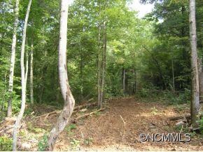 31 King Dr, Leicester, NC 28748 - photo 3