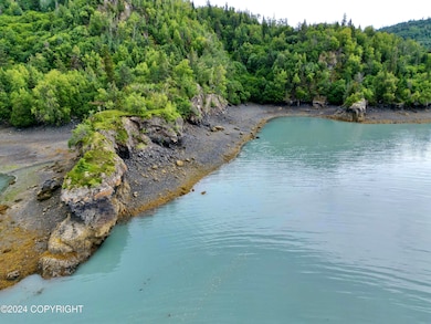 L2B Bear Cove, Homer, AK 99603 - photo 4