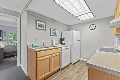 260 Mountainside Dr unit C402, Stowe, VT 05672 - photo 6