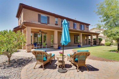 Serene Backyard