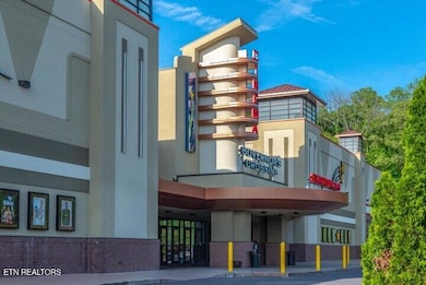 1410 Hurley Dr unit 502, Sevierville, TN 37862 - photo 4