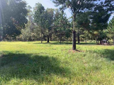 0 Lost Creek Ln, Crawfordville, FL 32327 - photo 5