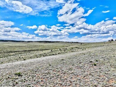 656 Ute Trace, Hartsel, CO 80449 - photo 5