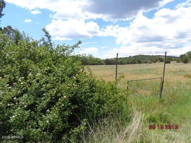 Hwy gate & wild roses