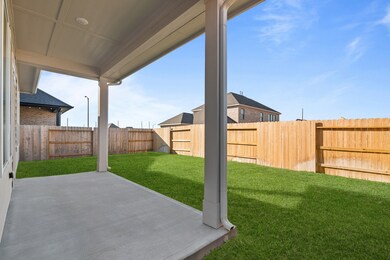 27138 Cutleaf Daisy Ct, Hockley, TX 77447 - photo 3