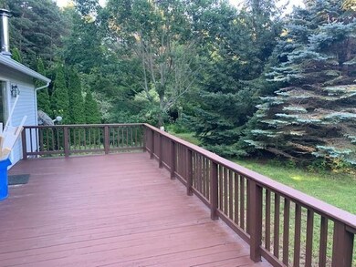 5885 N Conway Rd, Alanson, MI 49706 - photo 6