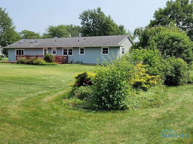 backyard!