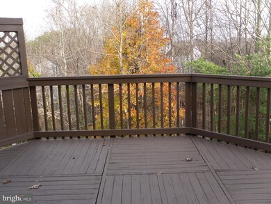 109 Blueberry Ct, Stafford, VA 22554 - photo 7