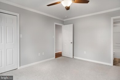 260 Aileen Ave, Strasburg, VA 22657 - photo 7