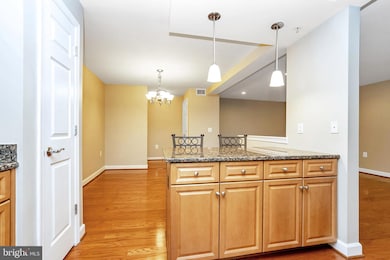 4079 S Four Mile Run Dr unit 402, Arlington, VA 22204 - photo 4