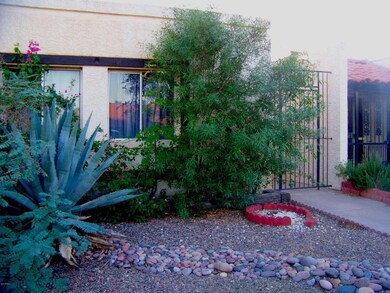 Front yard