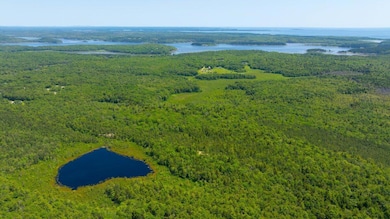 Lot #2 Rte 209 Main Rd, Phippsburg, ME 04562 - photo 5