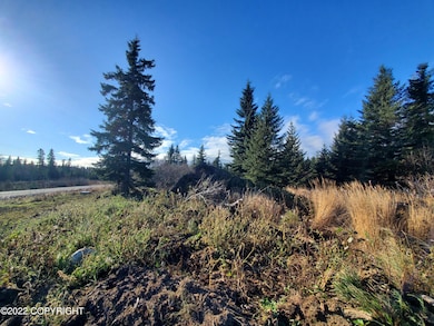 17309 Kimeluk St, Ninilchik, AK 99639 - photo 2