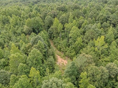 0 Cross Roads Church Rd unit 7629947, Buchanan, GA 30113 - photo 6