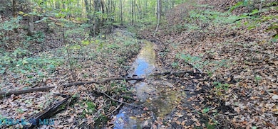 00 Plainview Dr, Saluda, VA 23149 - photo 6