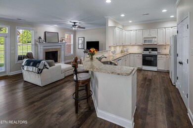 kitchen to LR view