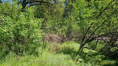 0 Lincoln Aly, Placerville, CA 95667 - photo 6