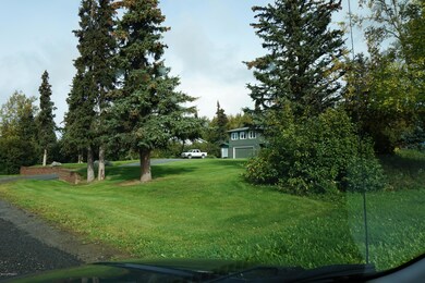 DSC00987