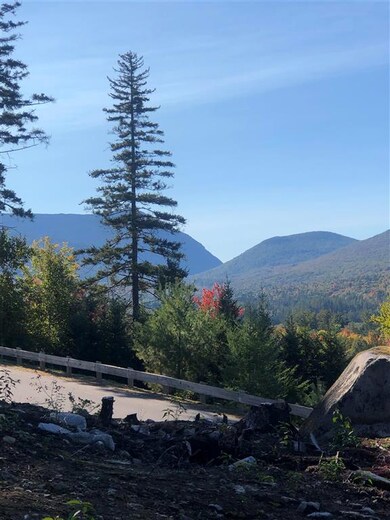 000 Dartmouth Ridge Rd unit 15, Carroll, NH 03583 - photo 7