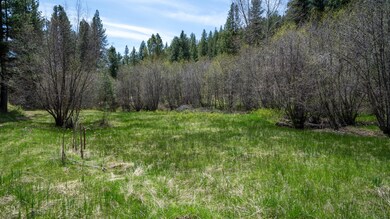 0 Keeney Fork Rd unit 220135771, Prairie City, OR 97869 - photo 3