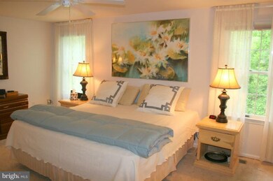 6052 Misty Arch Run, Columbia, MD 21044 - photo 6