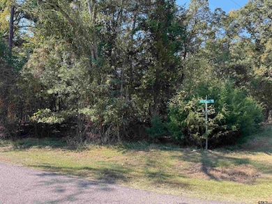 Lot 69 King Lake Dr, Scroggins, TX 75480 - photo 3