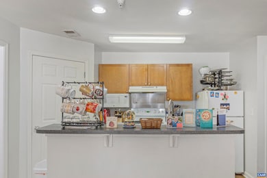 235 Yellowstone Dr unit 103, Charlottesville, VA 22903 - photo 5