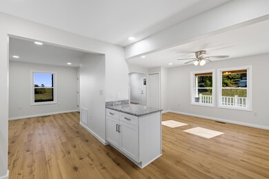 1140 Farmview Rd, Luray, VA 22835 - photo 6